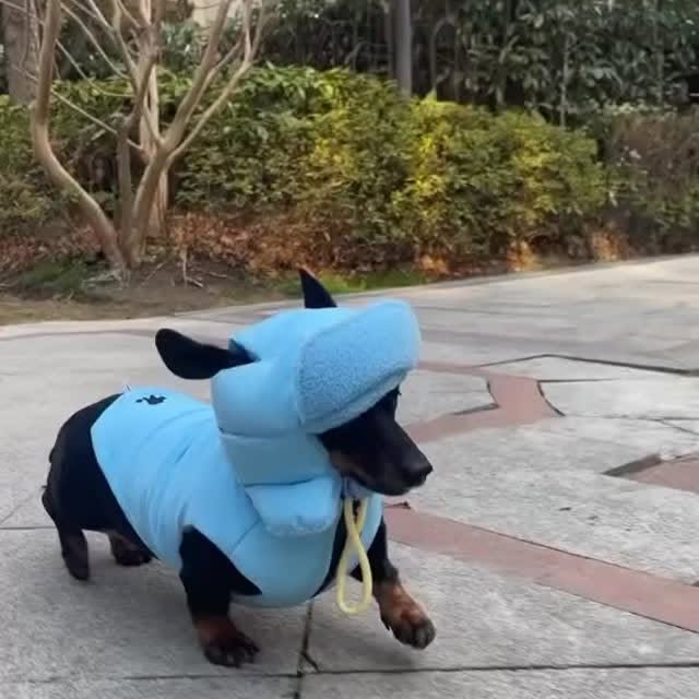  ..........fan.club_   'recent posts' 