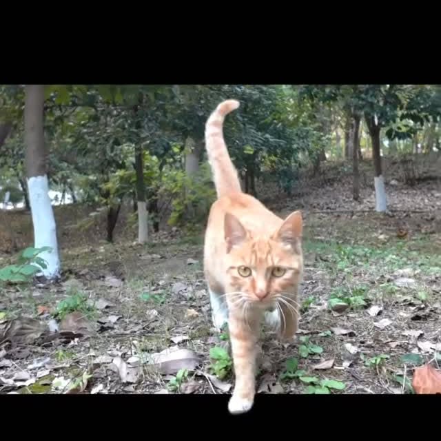  ......_lover   'recent posts' 