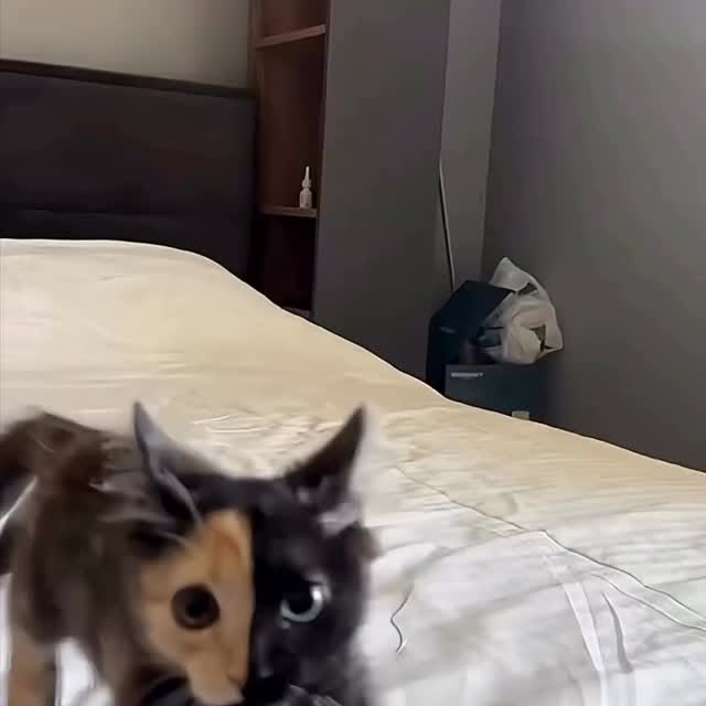  ...urre   'recent posts' 