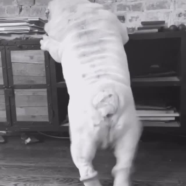  ......rwhite   'recent posts' 