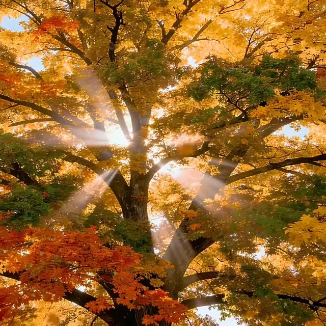  ......ureshub   'recent posts' 