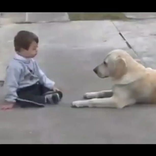  .......ereality   'recent posts' 