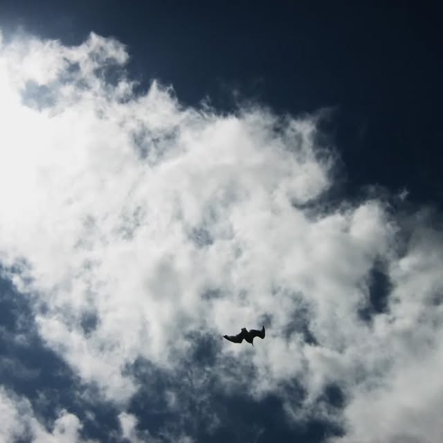  .....evault   'recent posts' 