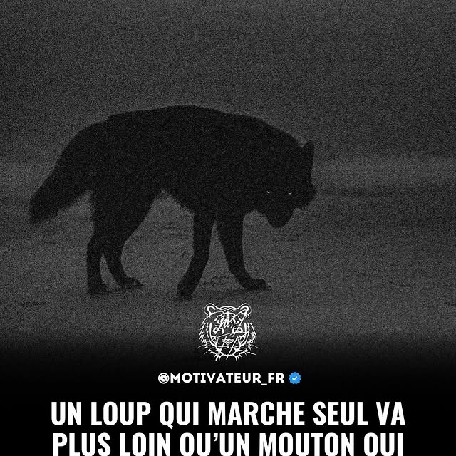  ......teur_fr   'recent posts' 