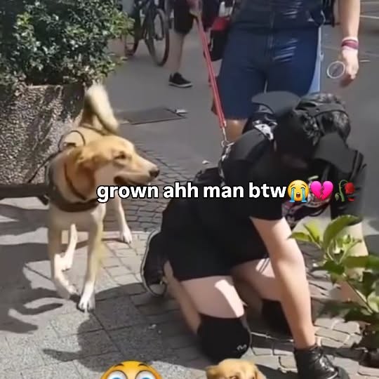  .........ereelpull   'recent posts' 