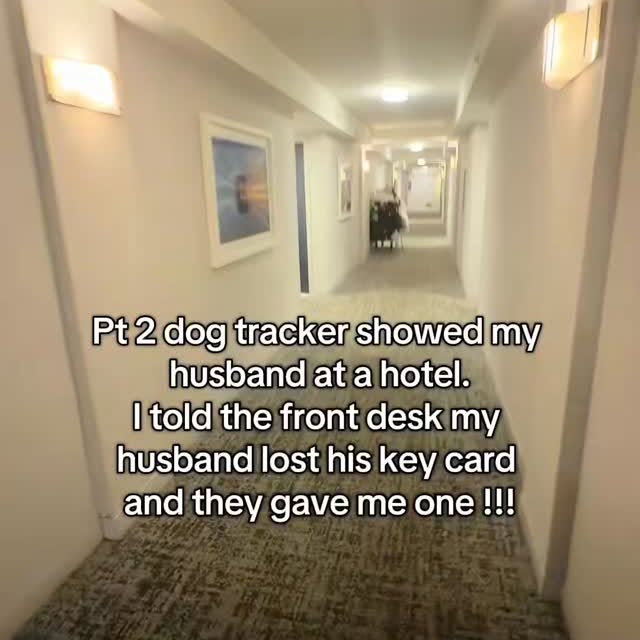  ........shipkink   'recent posts' 