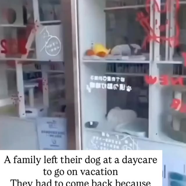  ....s.acc   'recent posts' 