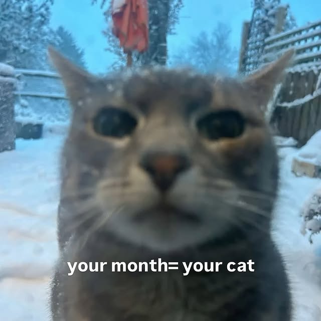  .....attos   'recent posts' 