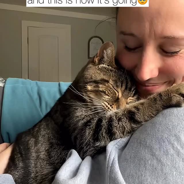  ........malsgram   'recent posts' 