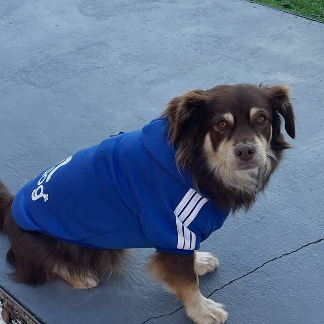  .....og2020   'recent posts' 