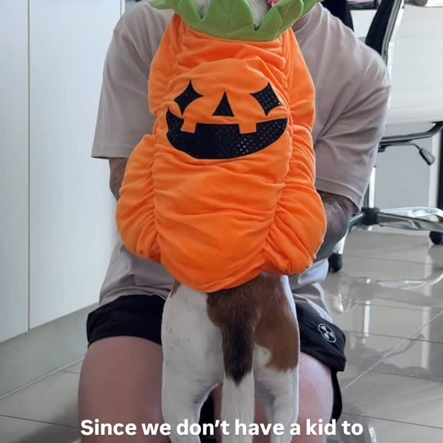  ....s2as   'recent posts' 