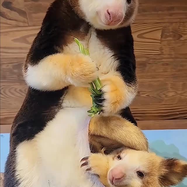  ........malsgram   'recent posts' 