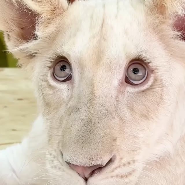  ........malsgram   'recent posts' 