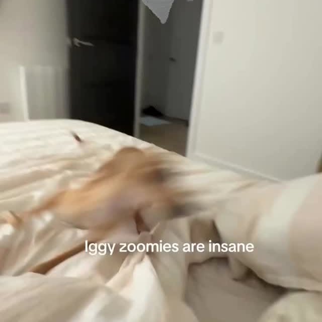  ......psworld   'recent posts' 