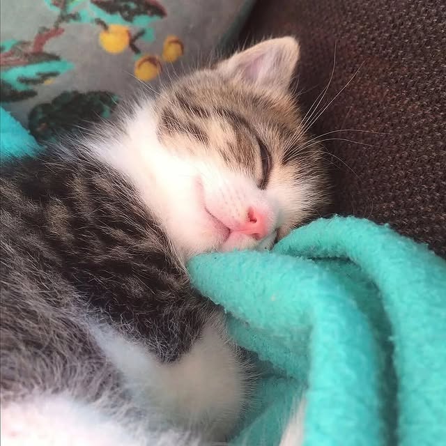  .....ns.hub   'recent posts' 