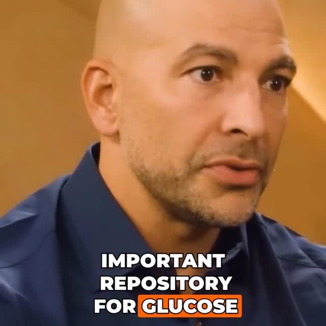  ......versed   'recent posts' 