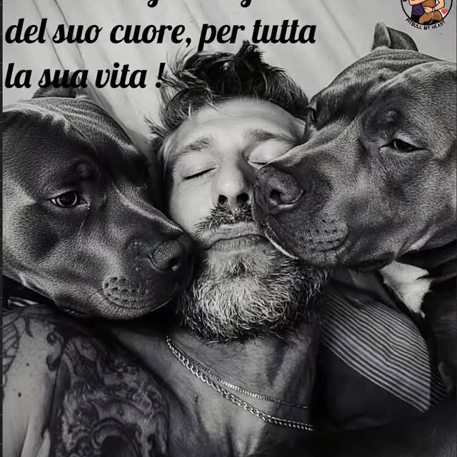  .........pet_world   'recent posts' 