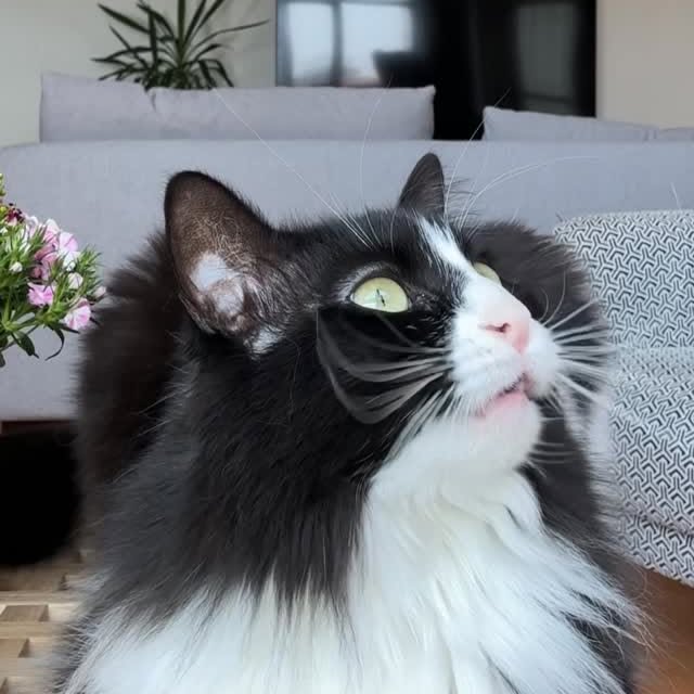  ......kekkek   'recent posts' 