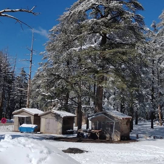  ......my_city   'recent posts' 