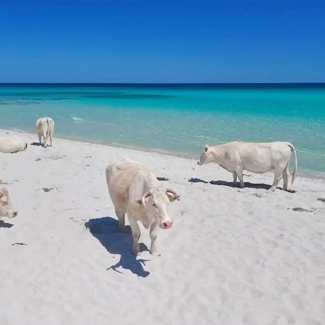  .......hotel.s   'recent posts' 