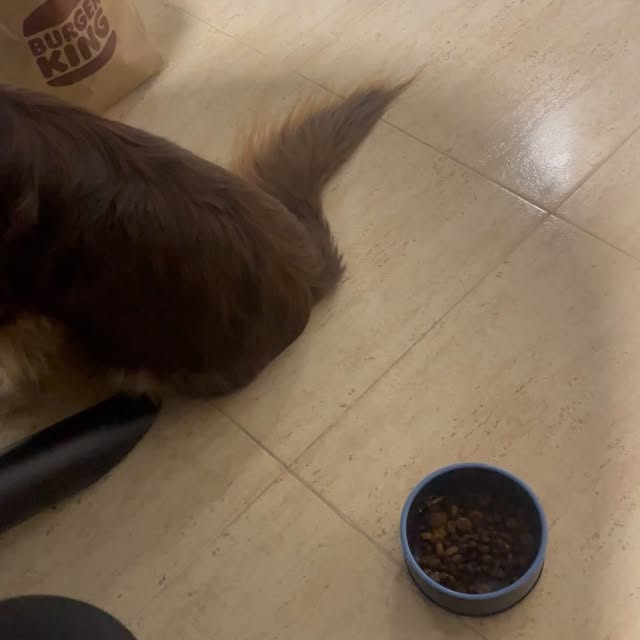  .....og2020   'recent posts' 