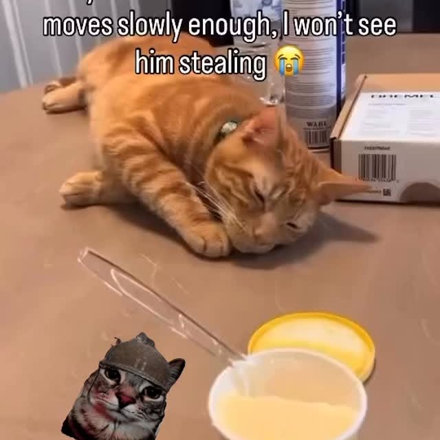  ....eowsy   'recent posts' 