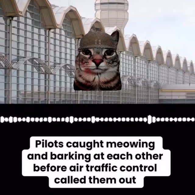  ....eowsy   'recent posts' 