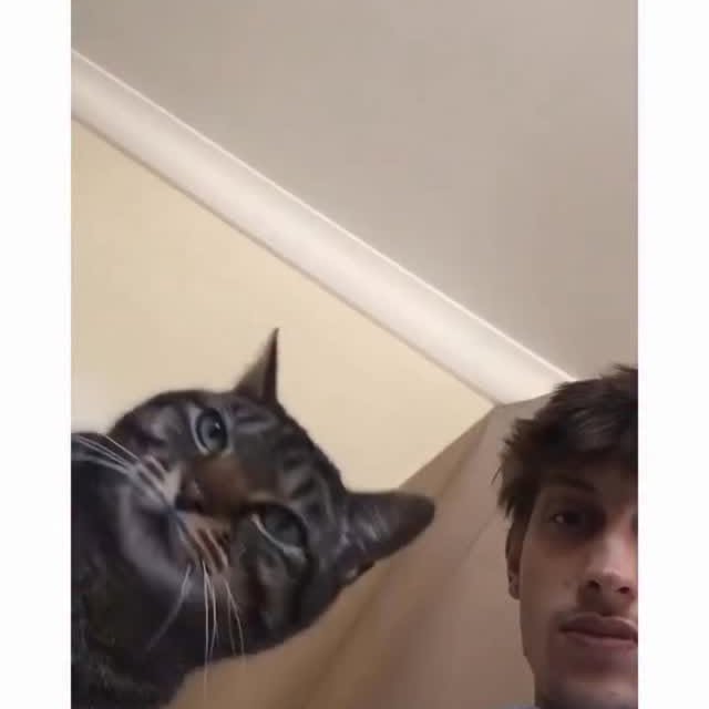  ......ctcars   'recent posts' 