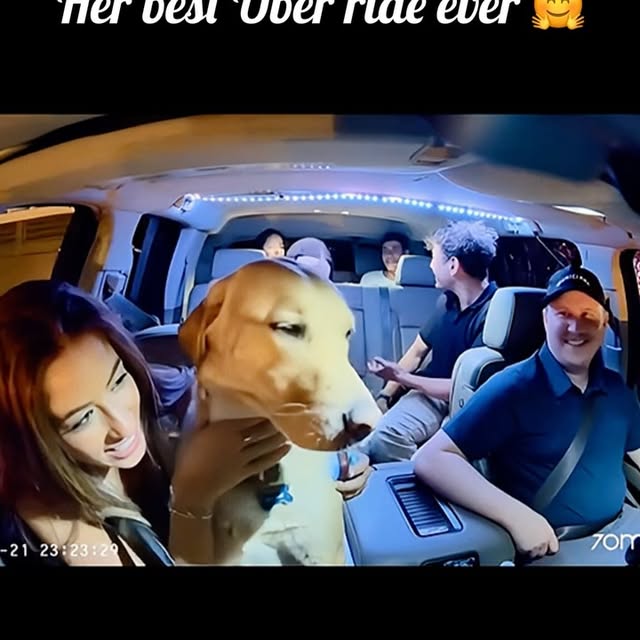  ........malsgram   'recent posts' 