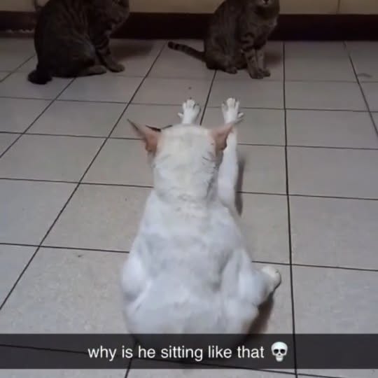  ......lyfans   'recent posts' 