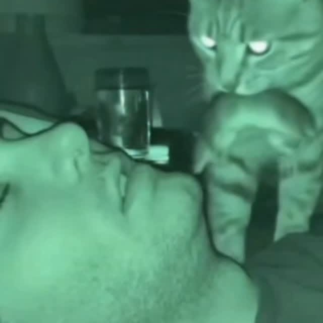  .......eartbeat   'recent posts' 