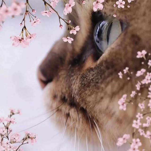  .........enture.in   'recent posts' 