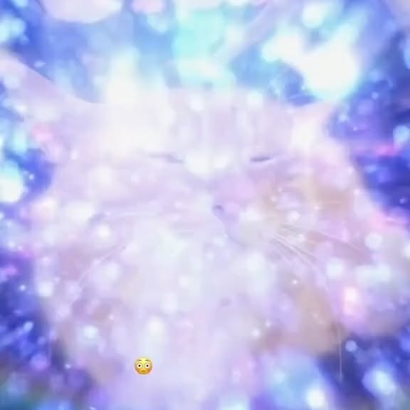  .....li9ht   'recent posts' 