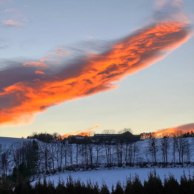  .......tamundos   'recent posts' 