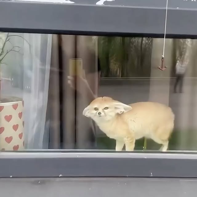  ...urre   'recent posts' 