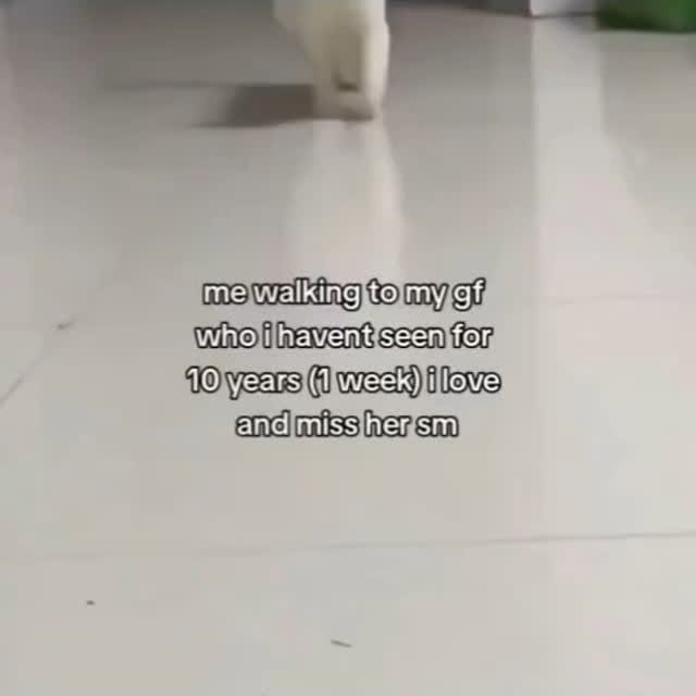  ........lykittens   'recent posts' 