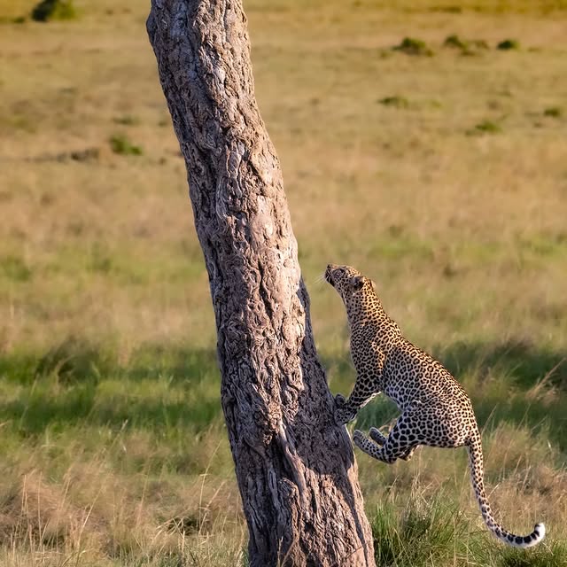  .........._sightings   'recent posts' 