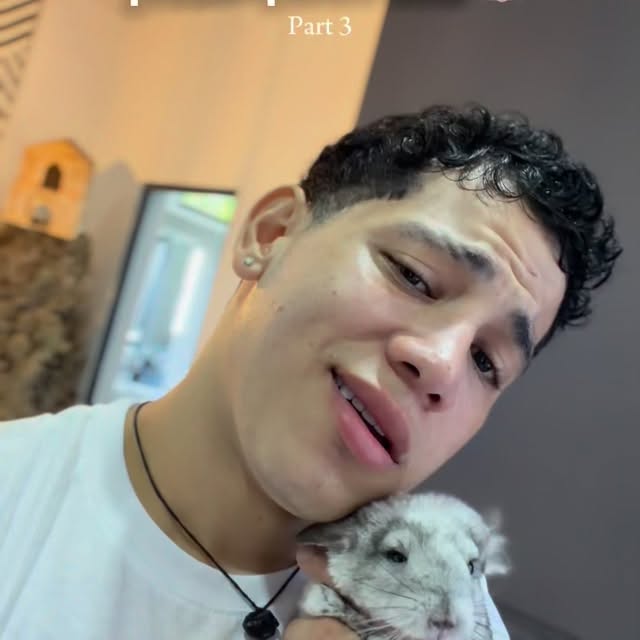  ........del_exito   'recent posts' 