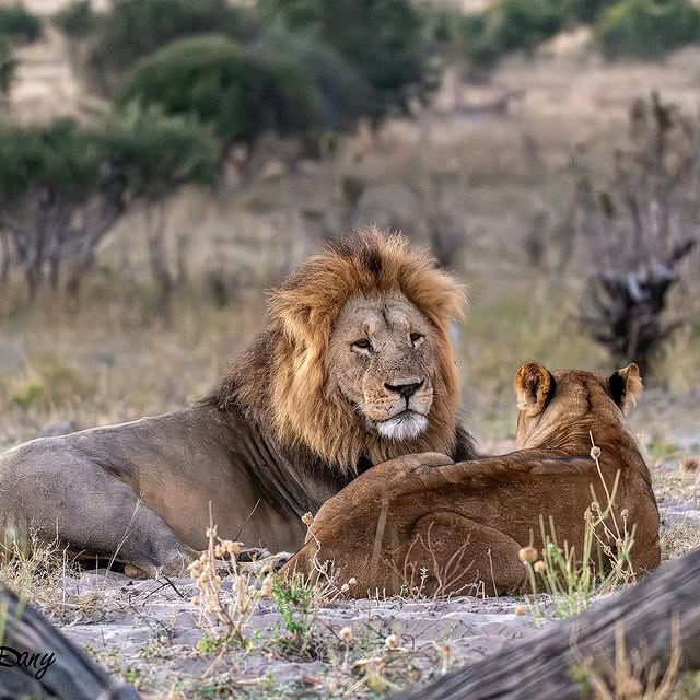  .........._sightings   'recent posts' 