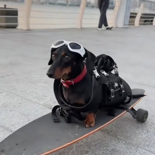  ..........fan.club_   'recent posts' 