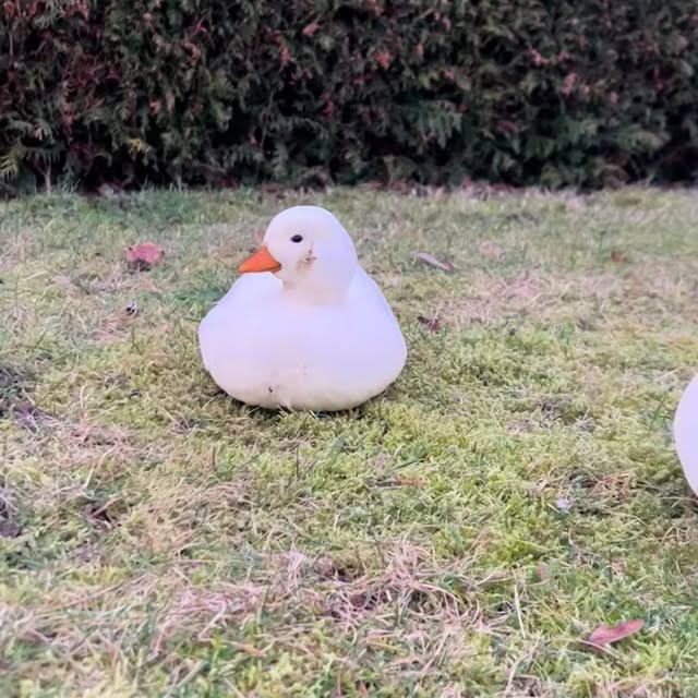  ........ckstatue   'recent posts' 