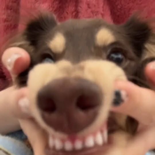  ..........fan.club_   'recent posts' 