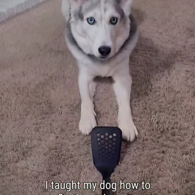  .....eteers   'recent posts' 