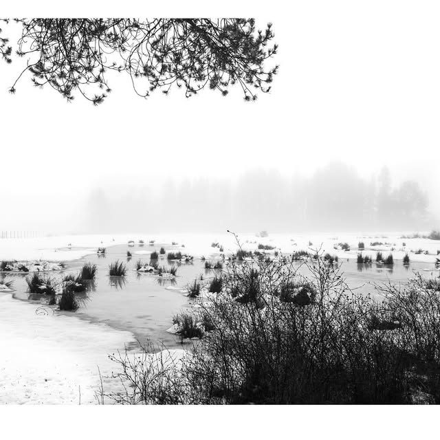  .......eng1360   'recent posts' 