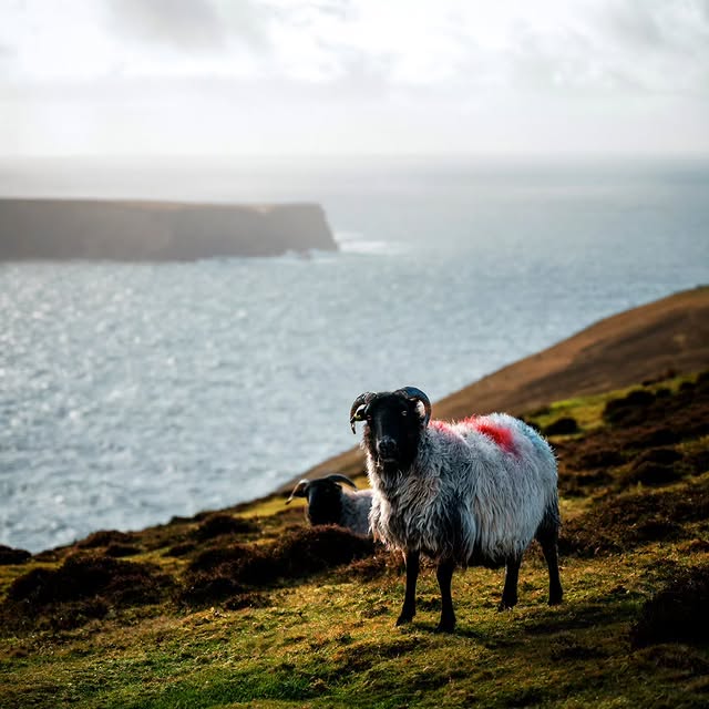  ........phpartsch   'recent posts' 