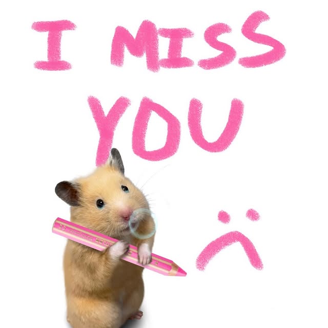  ......snotes   'recent posts' 