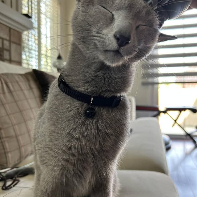  ......n_boris   'recent posts' 