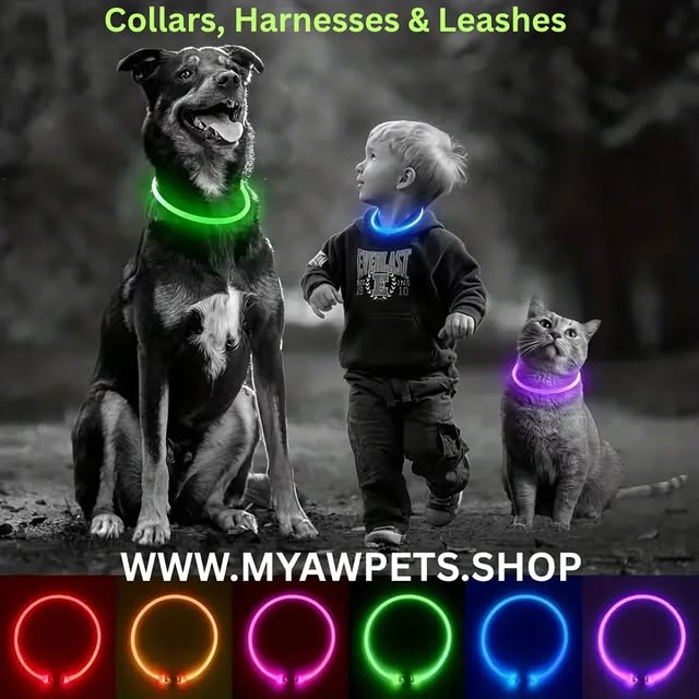  ....iming   'recent posts' 