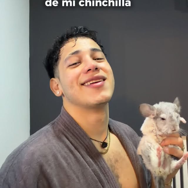  ........del_exito   'recent posts' 