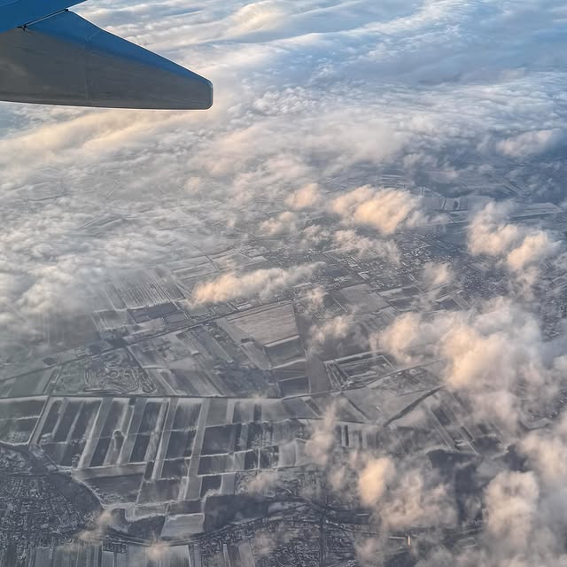  .......tamundos   'recent posts' 